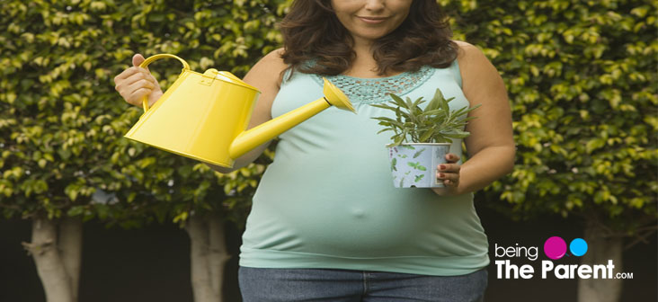 How Safe Is Gardening During Pregnancy Being The Parent