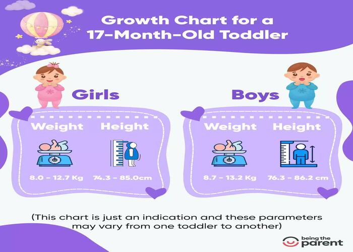 17-Grow-chart-final-version