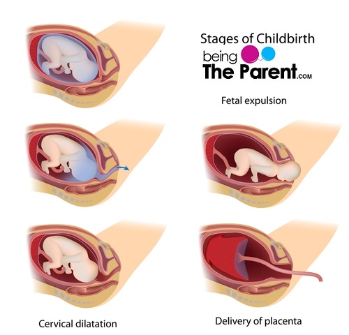 Active Labor - Being The Parent