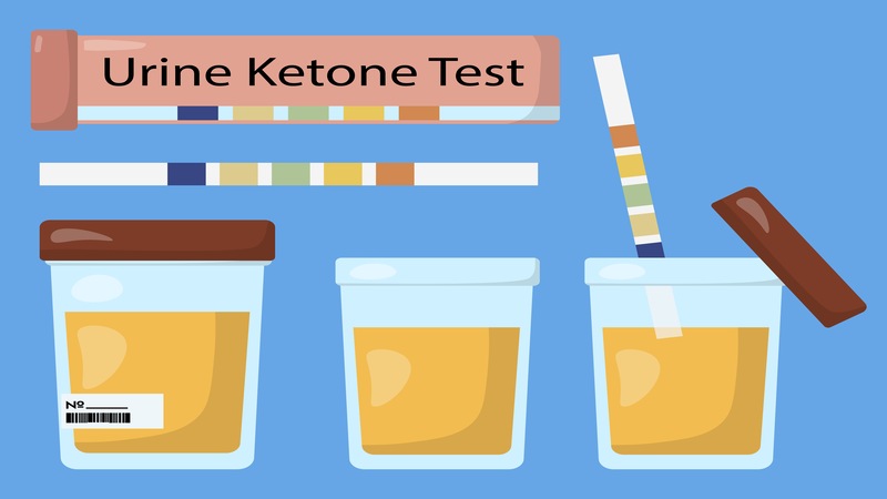 What Does Ketones In Urine During Pregnancy Mean_