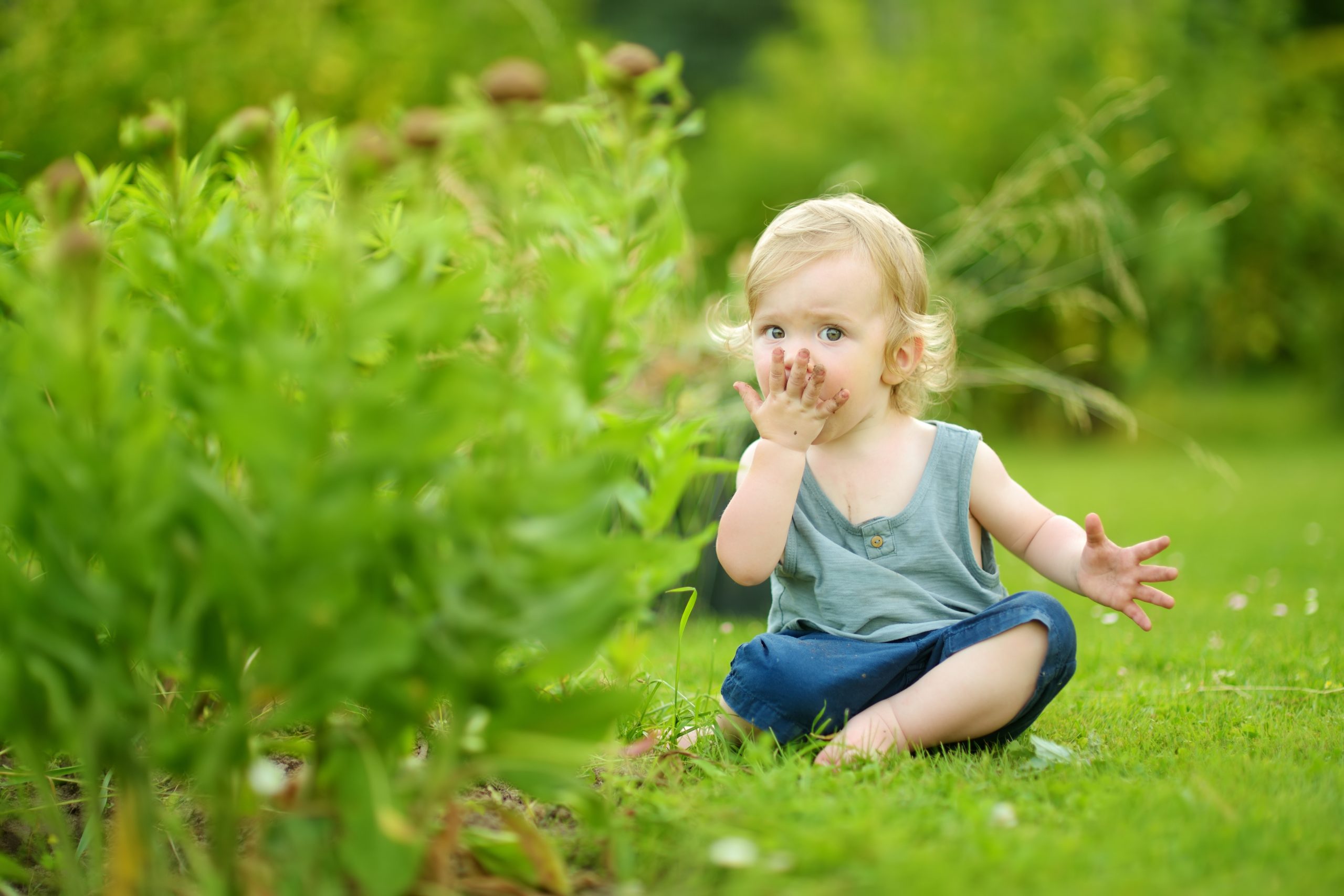 Why Do Toddlers Eat Dirt?