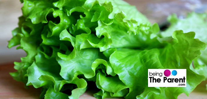 is-it-safe-to-eat-lettuce-during-pregnancy-being-the-parent