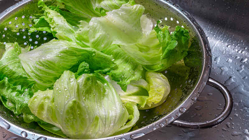 Risks-and-Precautions-When-Having-Lettuce-During-Pregnancy