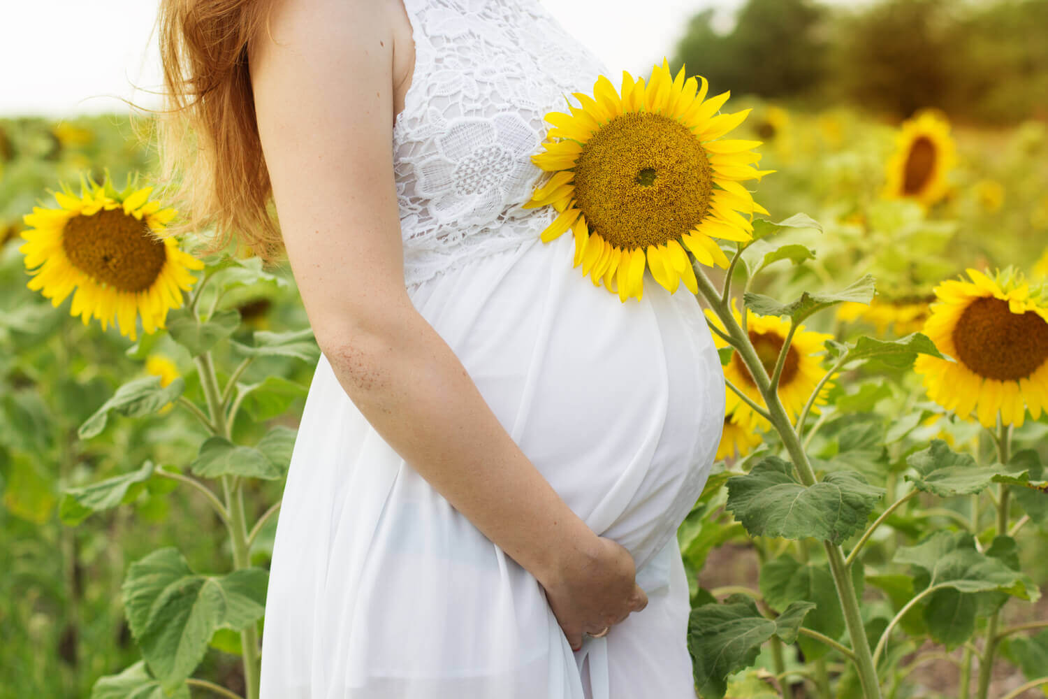 Sunflower Seeds During Pregnancy Are They Safe To Eat Being The Parent