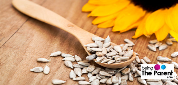 sunflower-seeds-during-pregnancy-are-they-safe-to-eat-being-the-parent