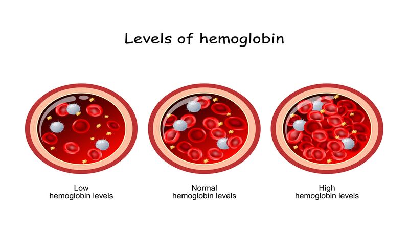 Importance of Hemoglobin Levels During Pregnancy