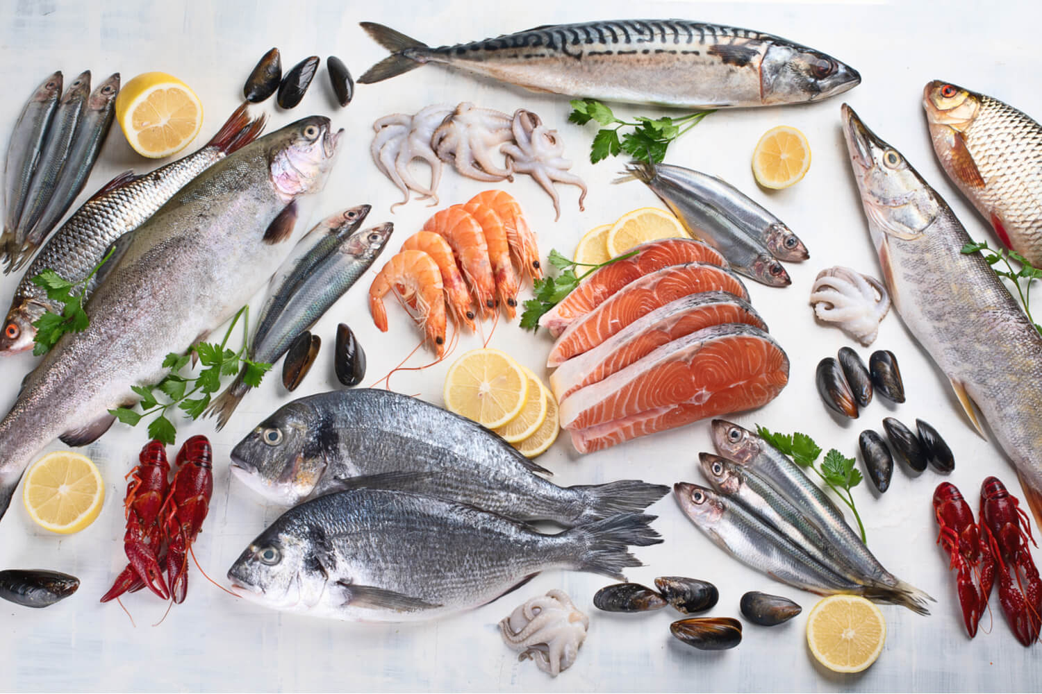 Рыба и морепродукты на белом фоне