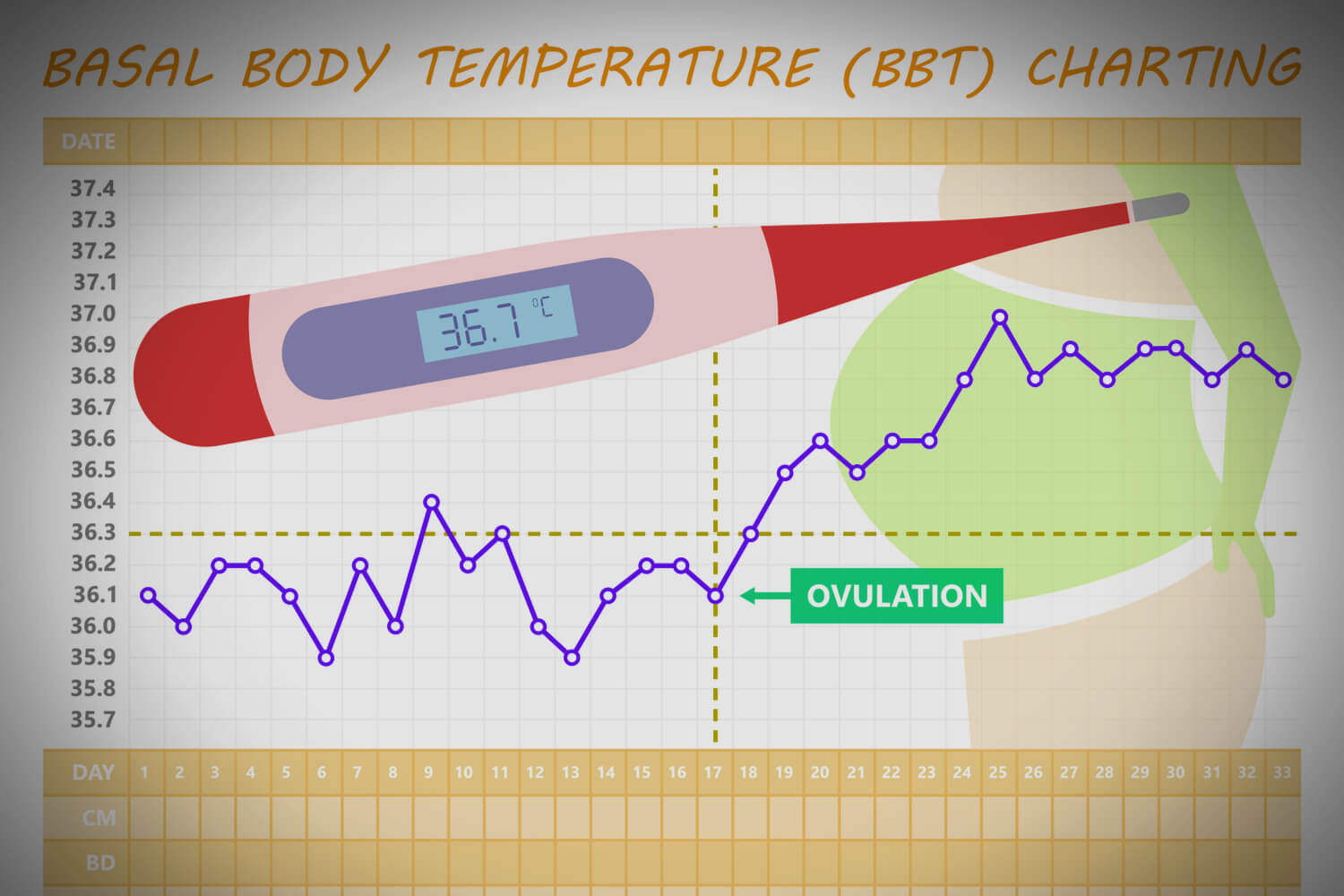 BBT Basal Body Temperature Chart Everything You Need To Know 2022 