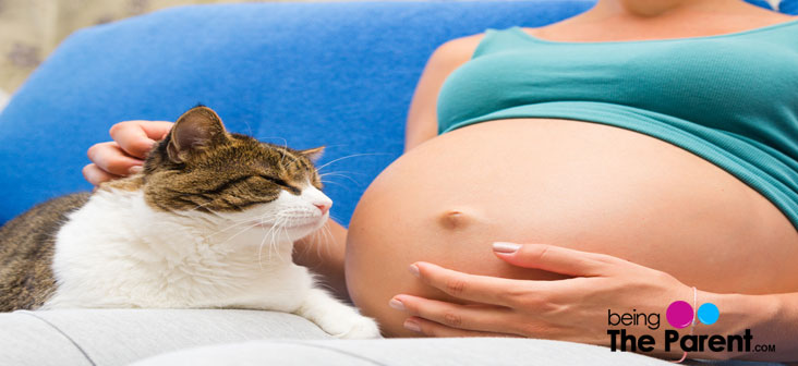 Dealing With Cat Litter During Pregnancy Being The Parent