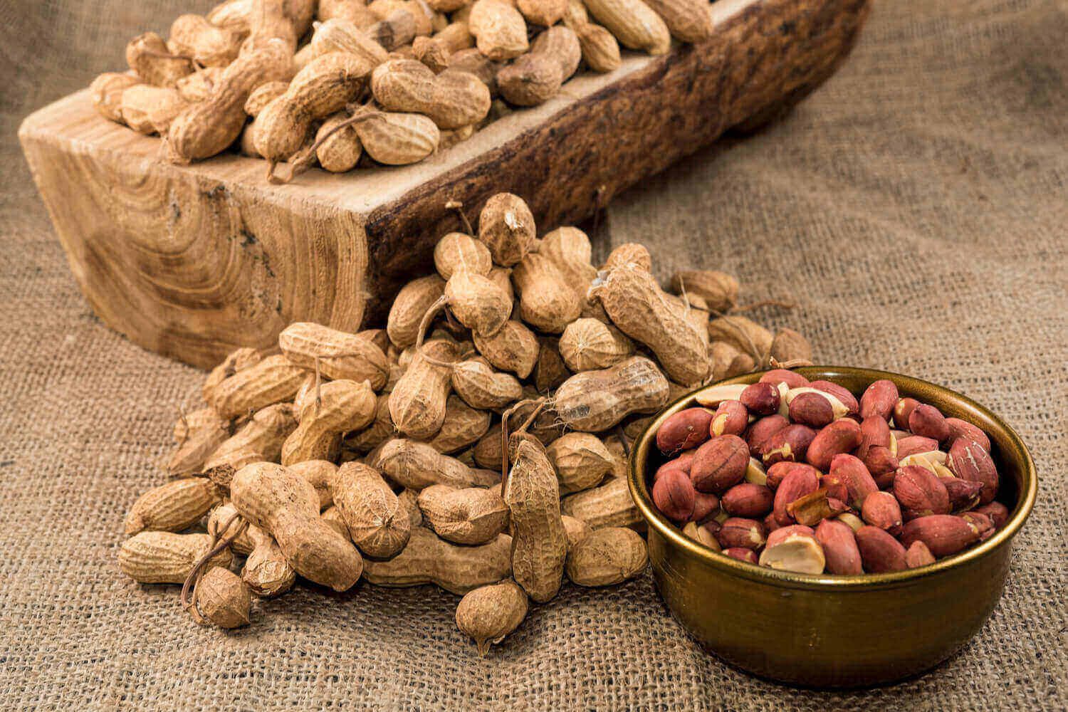 is-it-safe-to-eat-peanuts-during-pregnancy-being-the-parent