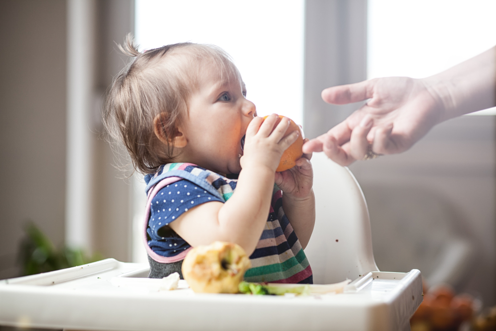 Baby Led Weaning