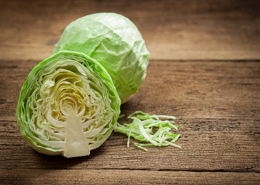 Cabbage for Babies