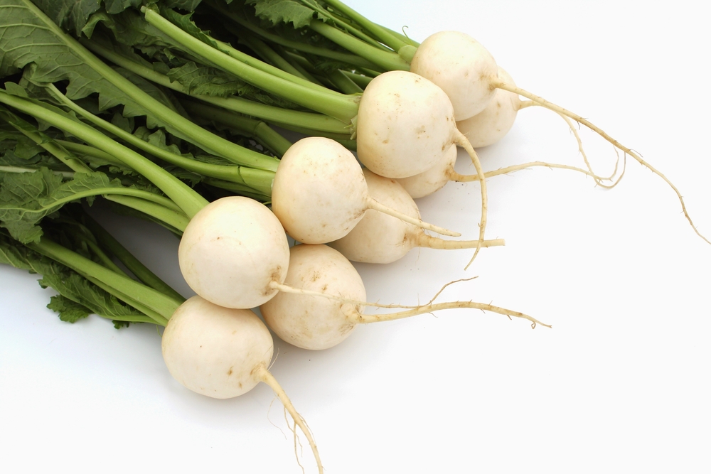 Turnips for Babies Health Benefits & Side Effects Being The Parent