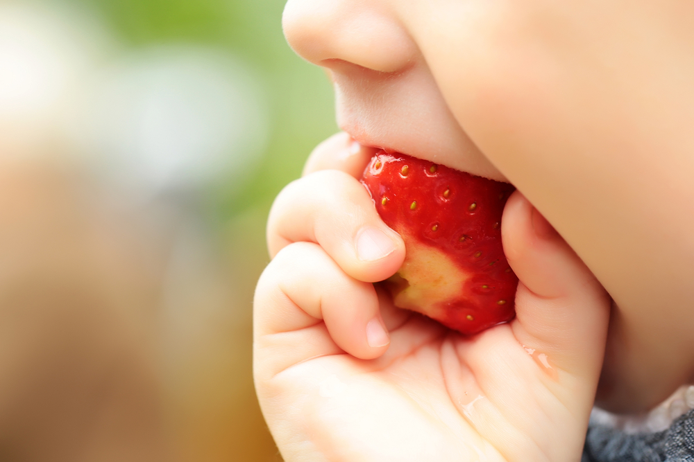 Strawberry for babies