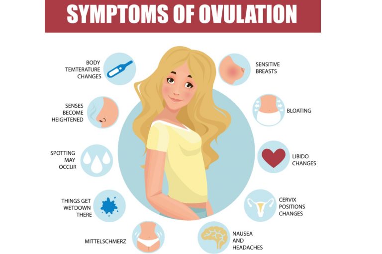 Important Facts About Ovulation - Being The Parent