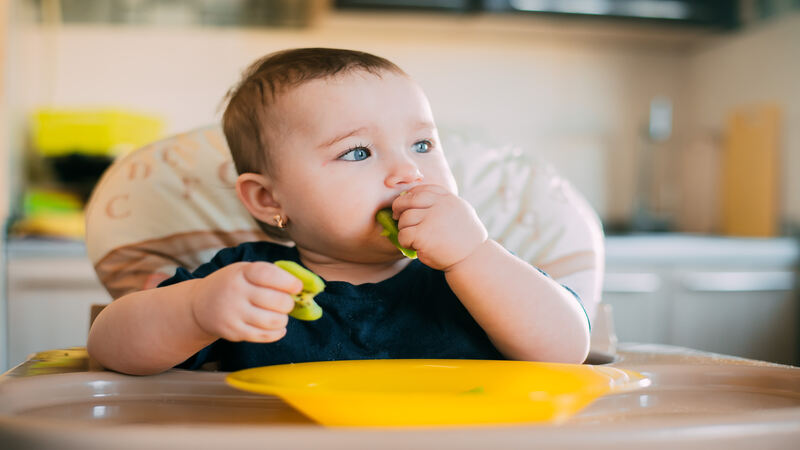 Baby led weaning