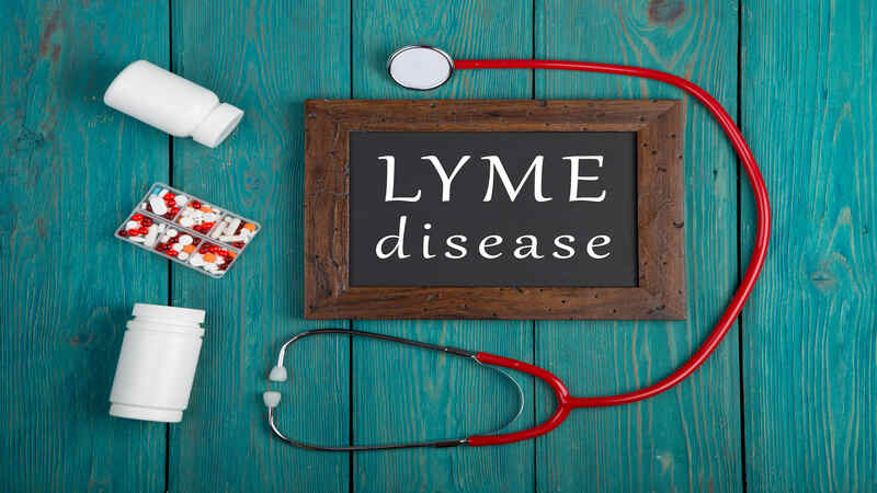 Lyme Disease In Toddlers - Symptoms And Treatments You Should Be Aware Of