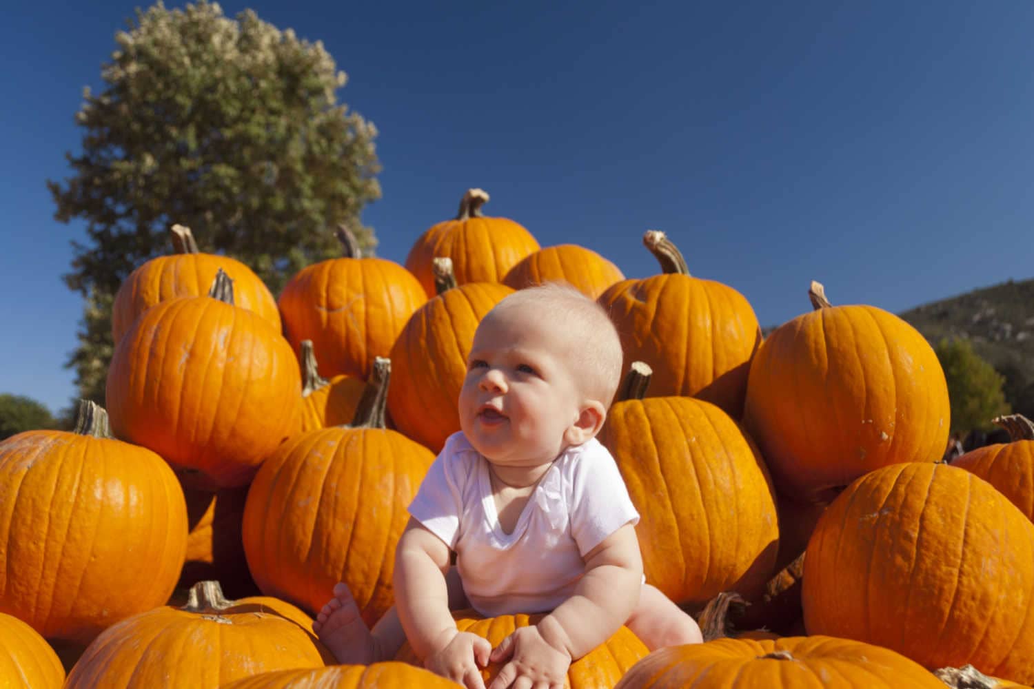 pumpkin-for-babies-when-to-introduce-benefits-and-precautions-being