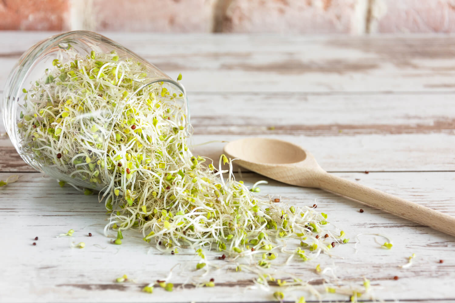 Eating Sprouts During Pregnancy Is it safe? Being The Parent