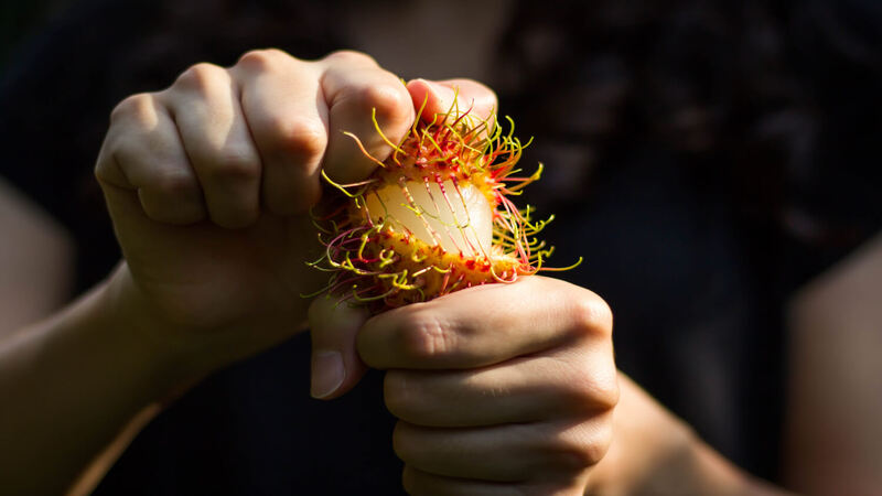 woman-opens-Rambutan