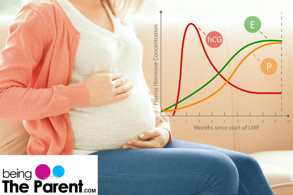 when-do-pregnancy-hormones-start-bluxaser