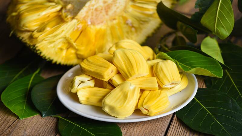 Jackfruit during breastfeeding