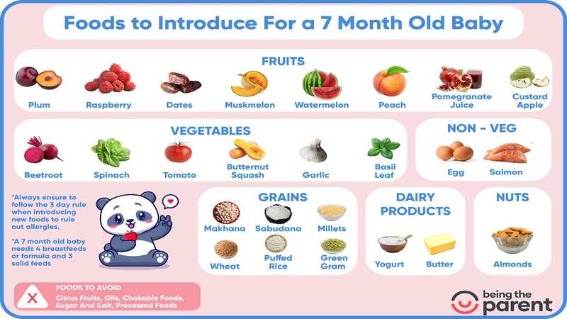 7-month-baby-food-chart-