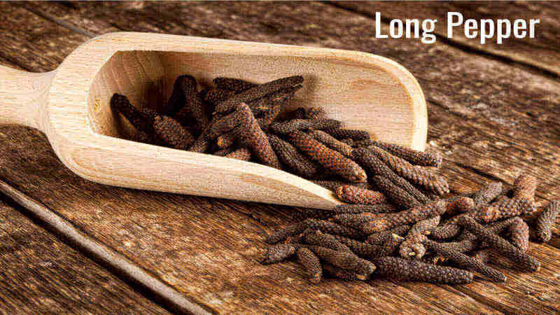 Long-Pepper