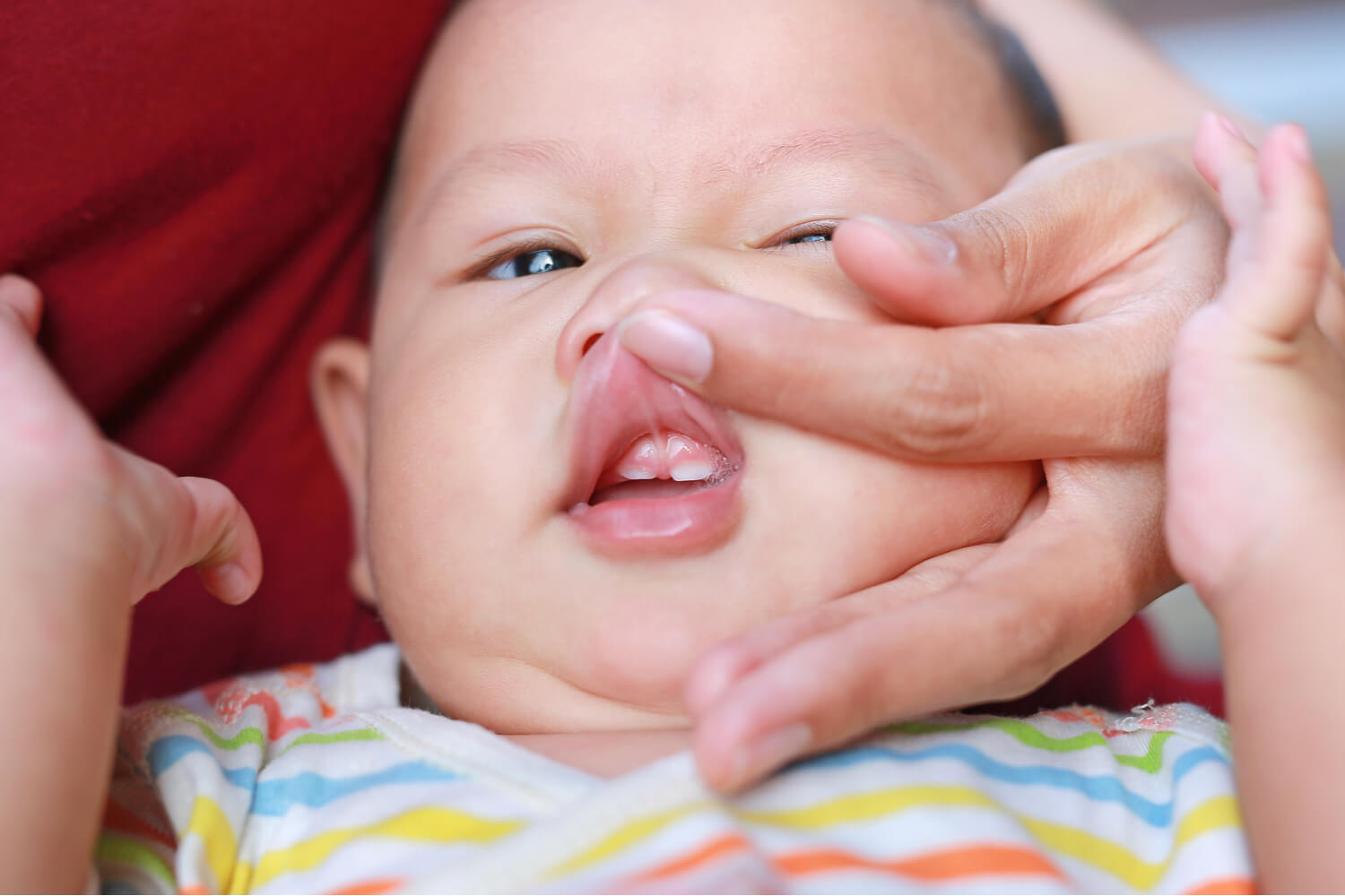 Здоровый рот у новорожденных