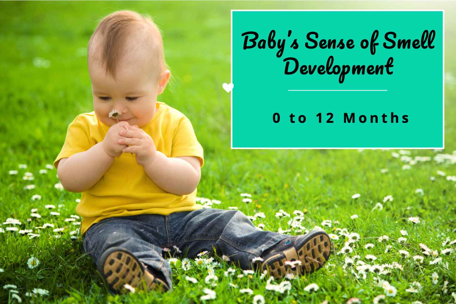 Baby s Sense Of Smell Development Timelines And What To Expect 