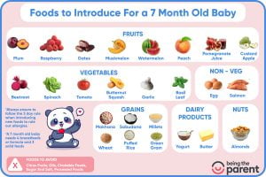 7 Month Baby Food - What to Give, What Not to Give and Sample Schedule ...