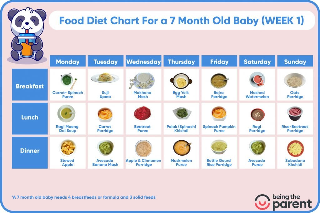 7 Month Baby Food - What to Give, What Not to Give and Sample Schedule ...