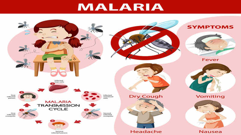 symptoms-of-malaria