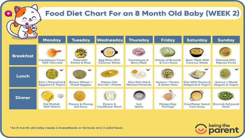 8-month-2-week-food-schedule