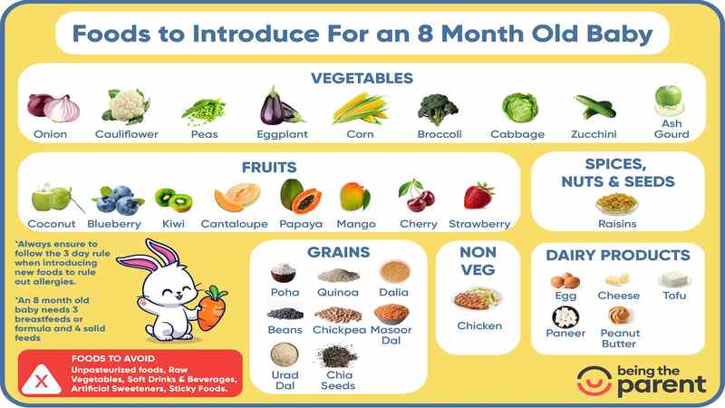 8-month-baby-main-food-chart