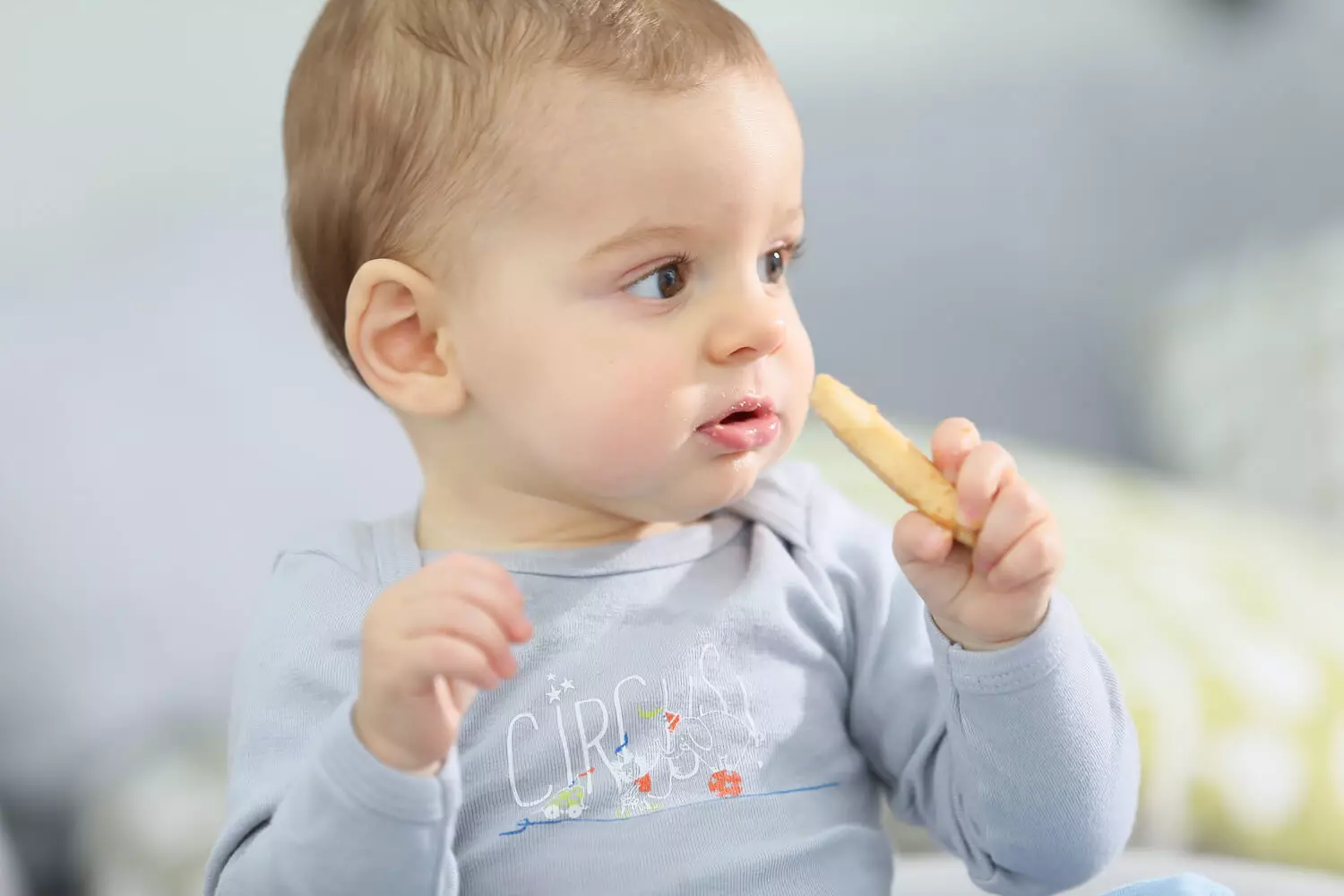 biscuits-for-babies-good-or-bad-being-the-parent