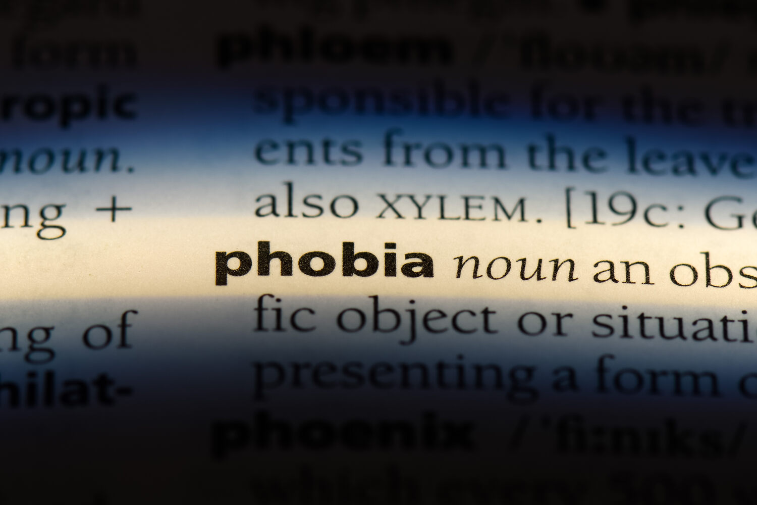 Fear and phobia are different