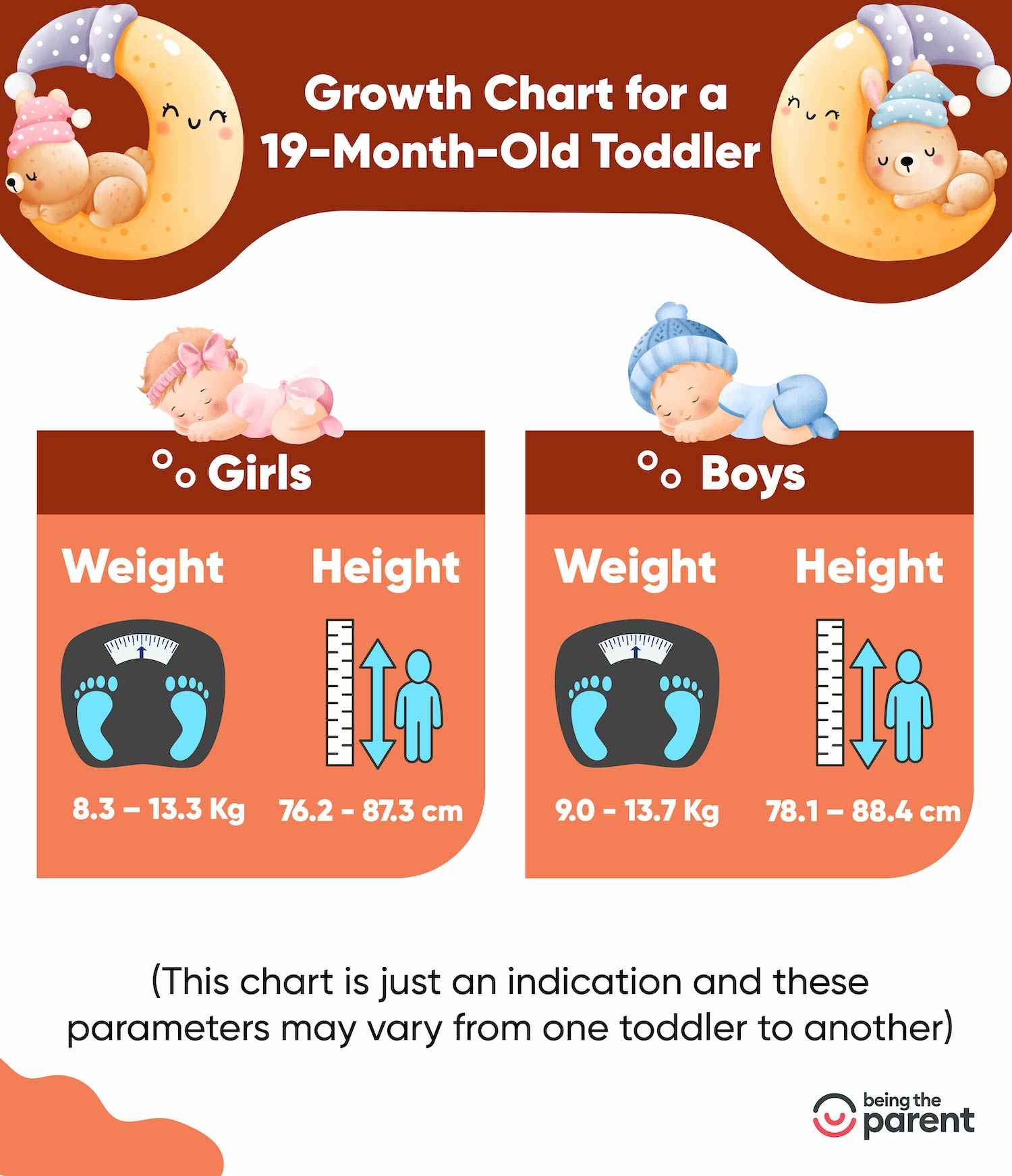 Growth chart for 19 month toddler