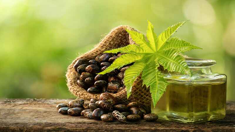 Can Castor Oil Induce Labor_