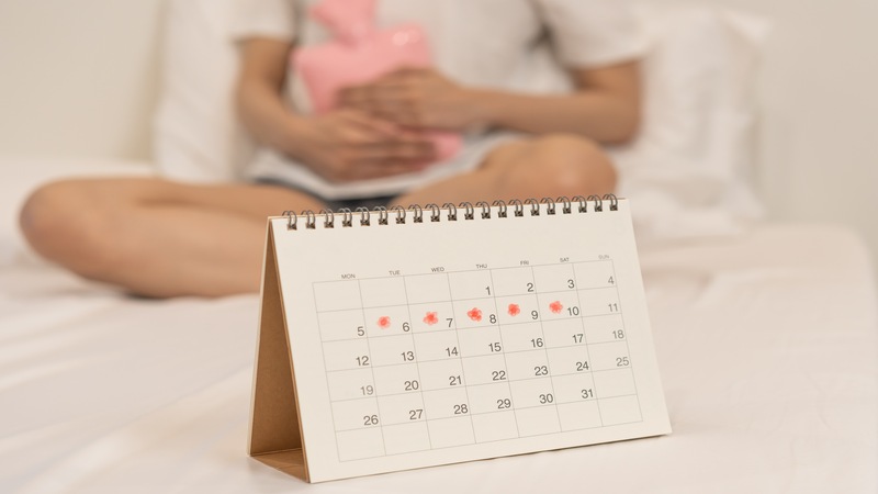 Understanding more about the female menstrual cycle