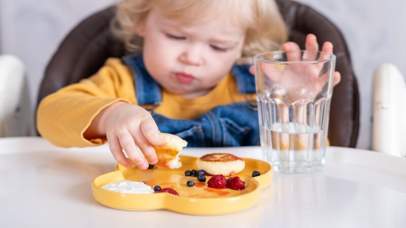 15 Healthy Food Ideas When Leaving Your Toddler In Daycare