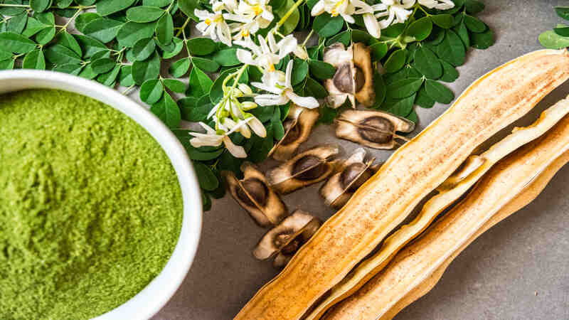 Does Moringa Boost Fertility