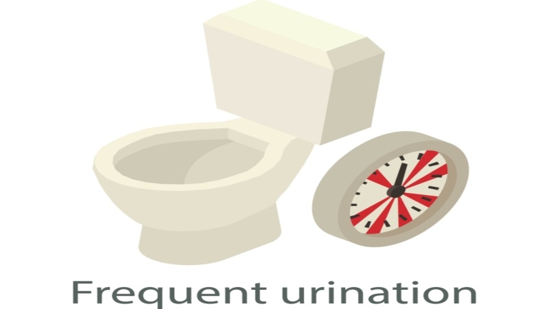 Frequent Urination In Children