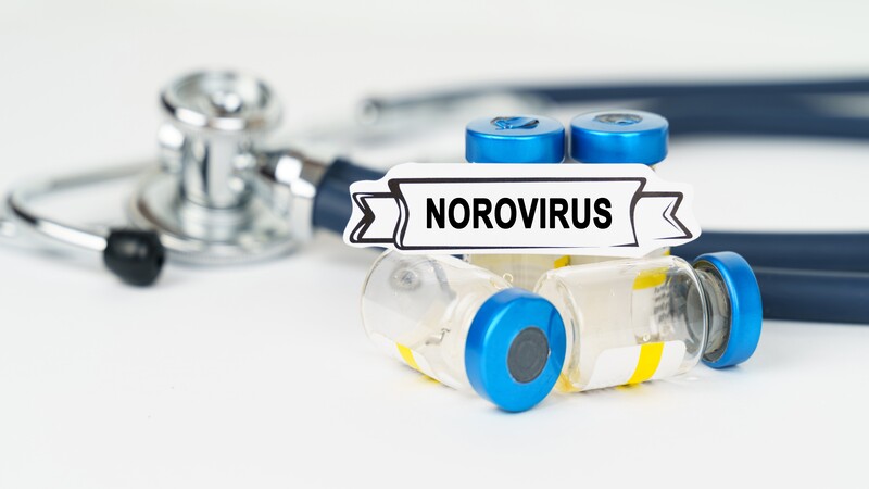 Norovirus Infections During Pregnancy