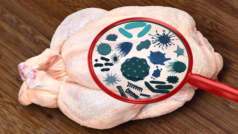 Risk Of Eating Turkey During Pregnancy