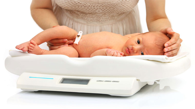  Premature Baby Weight Gain And Weight Chart