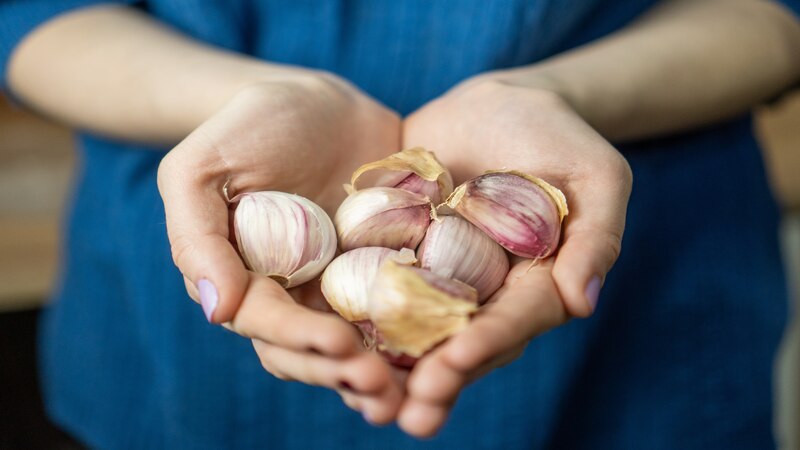 garlic during breastfeeding