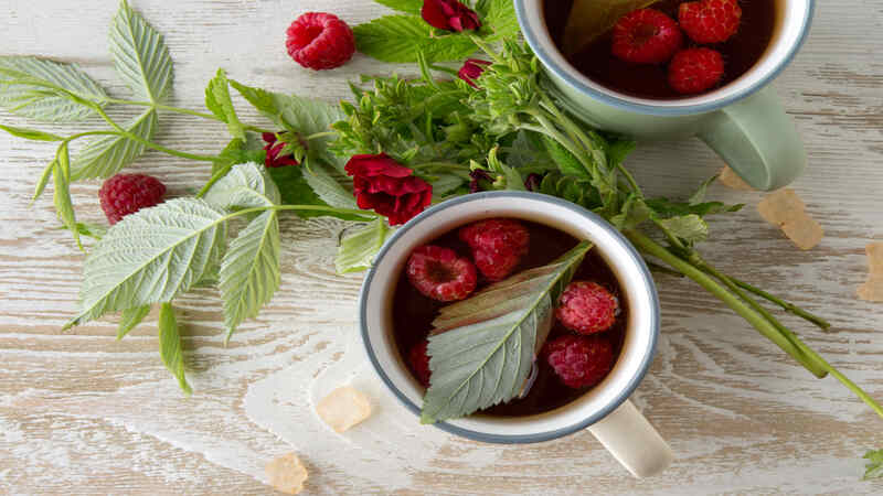 Raspberry Leaf Tea during pregnancy