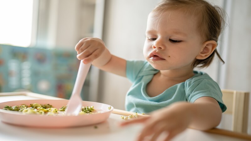 Tips to Assist Your Toddlers in Using Knife And Fork