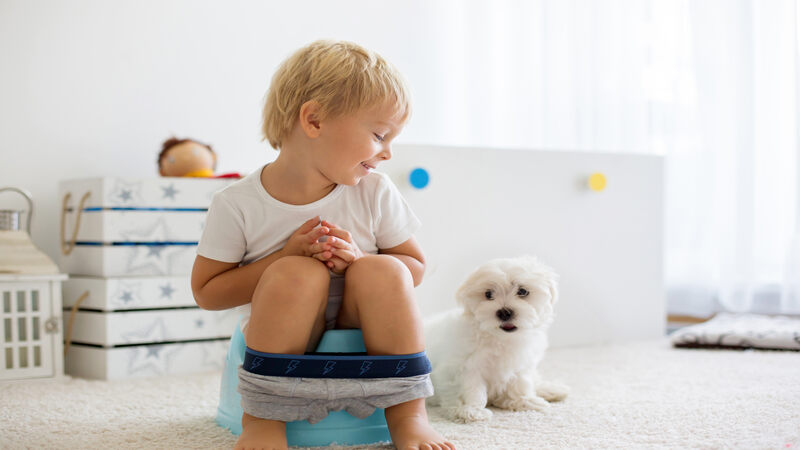 10 Successful Potty Training Tips for Boys